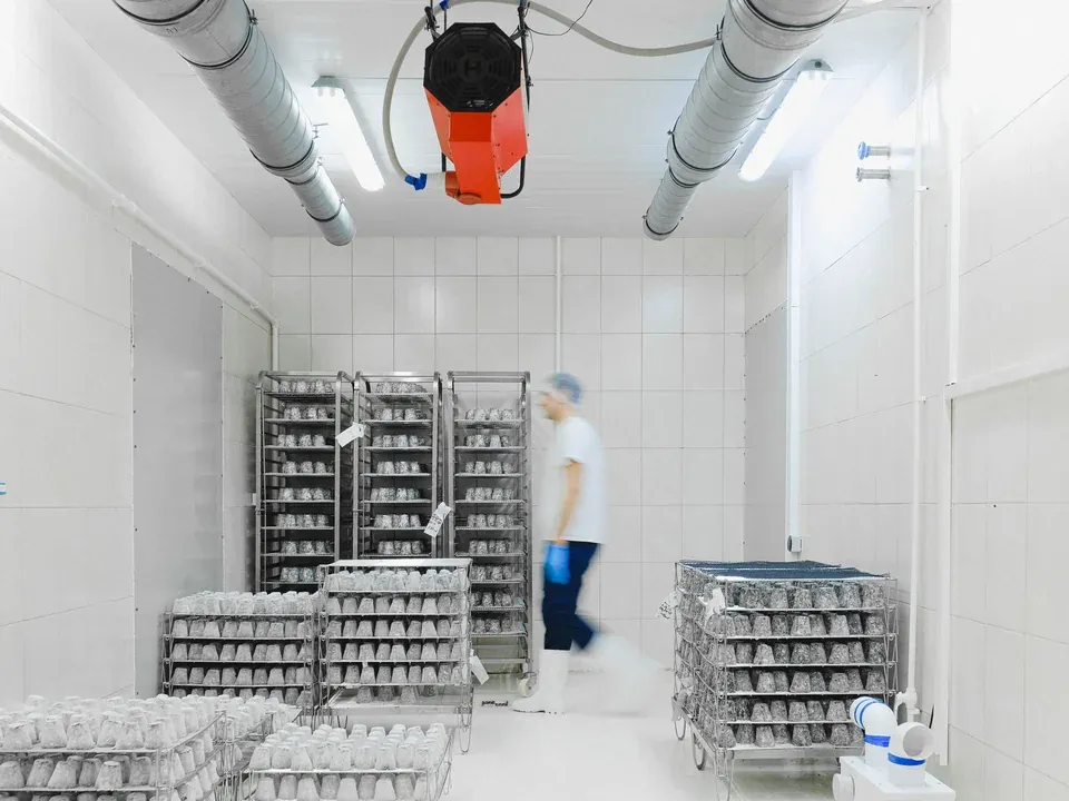 Cámara de refrigeración con muros y techo blancos